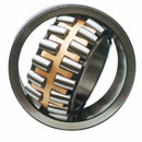 Double Roller Bearing